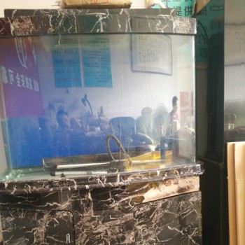 鋼琴與魚缸快運(yùn)