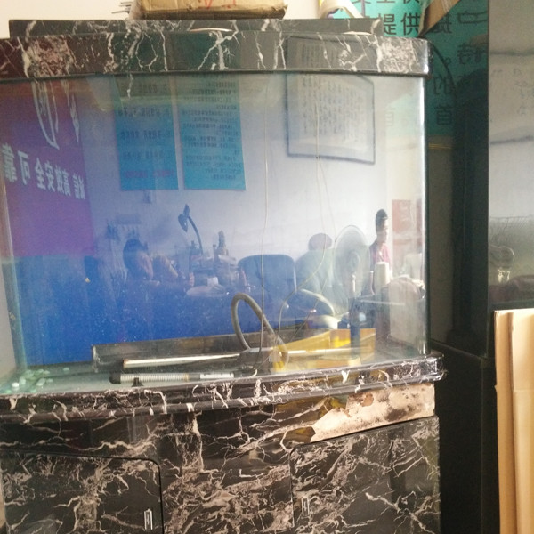 鋼琴、魚(yú)缸專(zhuān)運(yùn)現(xiàn)場(chǎng)