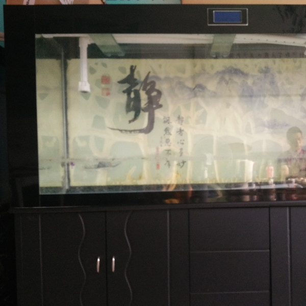 鋼琴、魚(yú)缸專(zhuān)運(yùn)現(xiàn)場(chǎng)